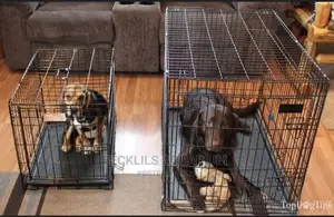 Large Cage for Dogs and Cat
