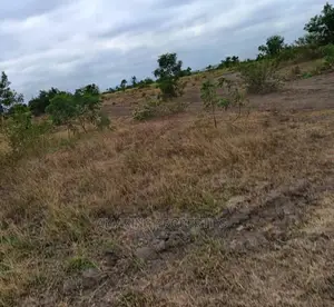 100/100 Plot of Land at Klagon