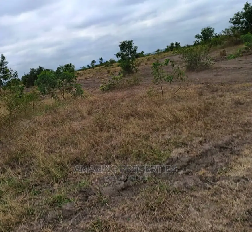 100/100 Plot of Land at Klagon