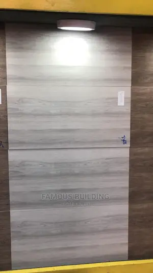 30/60 Tile for Both Floor and Wall