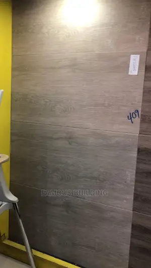 30/60 Tile for Both Floor and Wall
