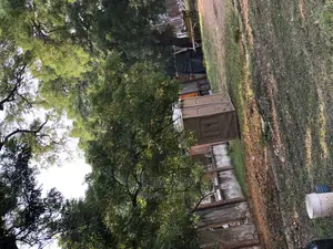 Mobile Toilet Rental