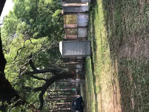 Mobile Toilet Rental