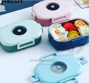 Tedemei Thermal Insulated Lunch Bowls/Box