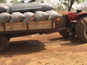 Soya Bean 100kg