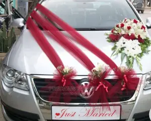 Car Decorations/ Back Drapes Decorations Settings for Events