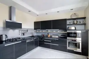 Modern Kitchen Cabinets