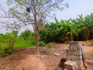 2 Acres of Service Plot for Sale at Dzorwulu
