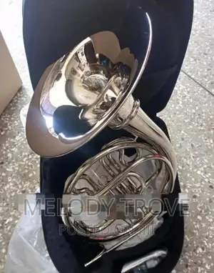 French Horn Silver