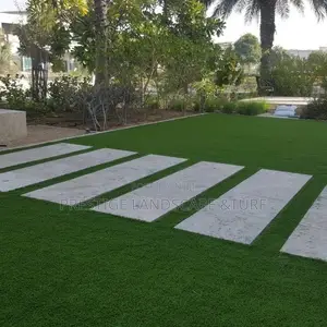 Green Grass Carpet