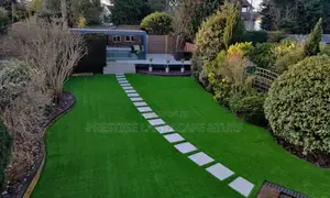 Green Grass Carpet