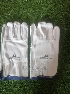 Leather Gloves (Delta Plus)