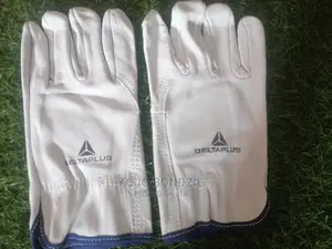 Leather Gloves (Delta Plus)