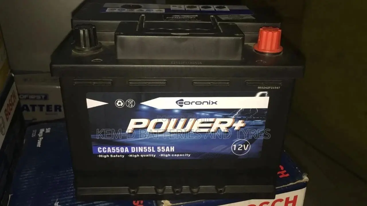 Neutron Car Batteries - 13 Plates