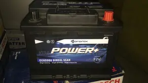 Neutron Car Batteries - 13 Plates