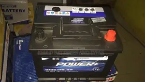 Neutron Car Batteries - 13 Plates