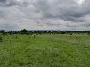 31 Acres of Land Along Borteyman Road