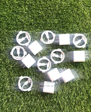 iPhone Chargers