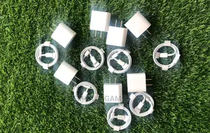 iPhone Chargers