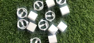 iPhone Chargers