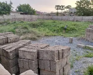 Half Plot at Ashongman