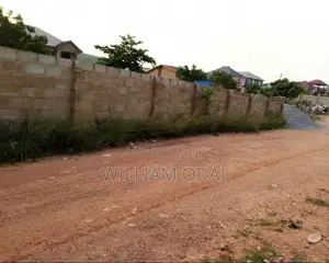 Half Plot at Ashongman