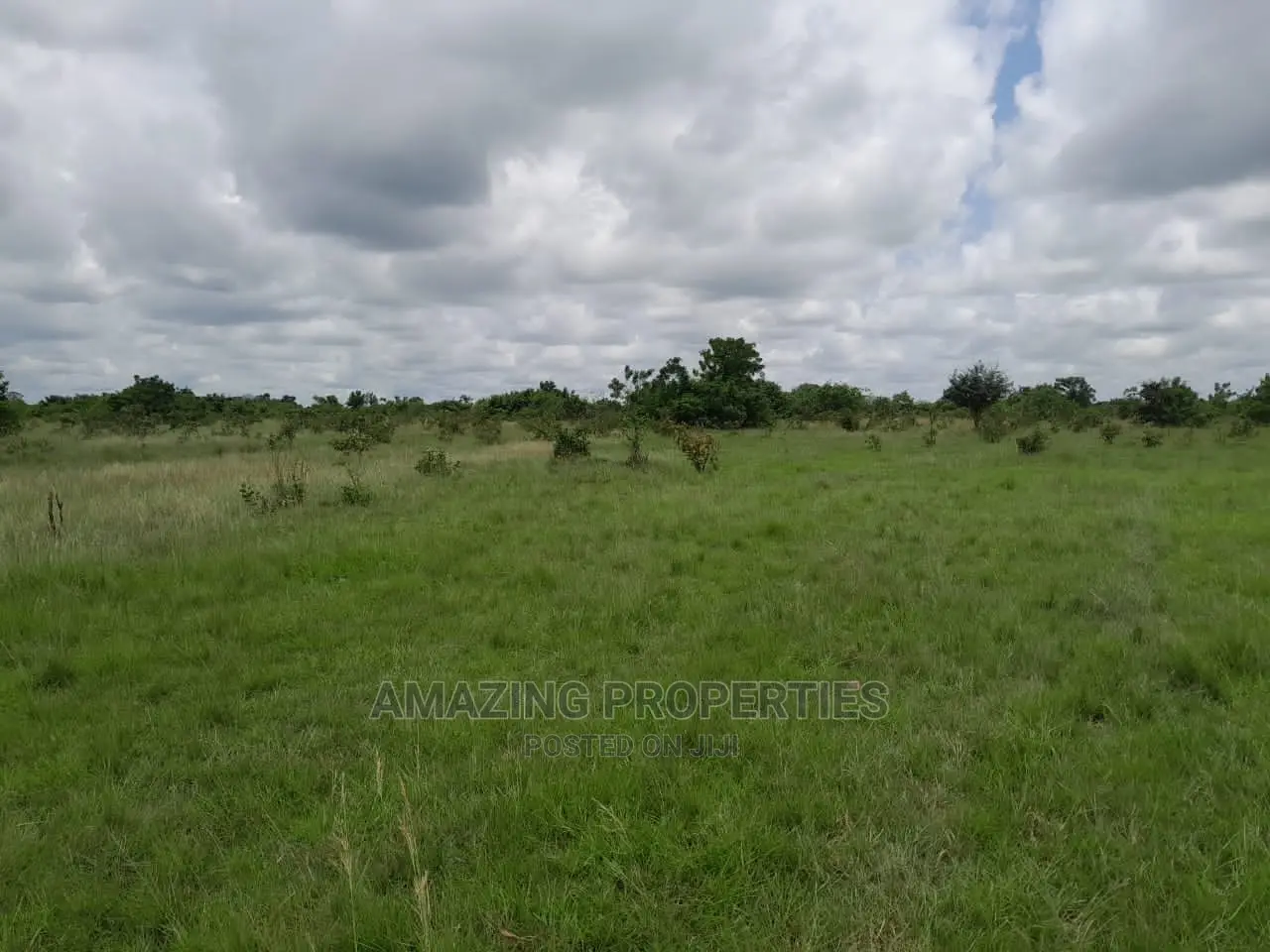 31 Acres of Land for Sale at Ayi Mensah