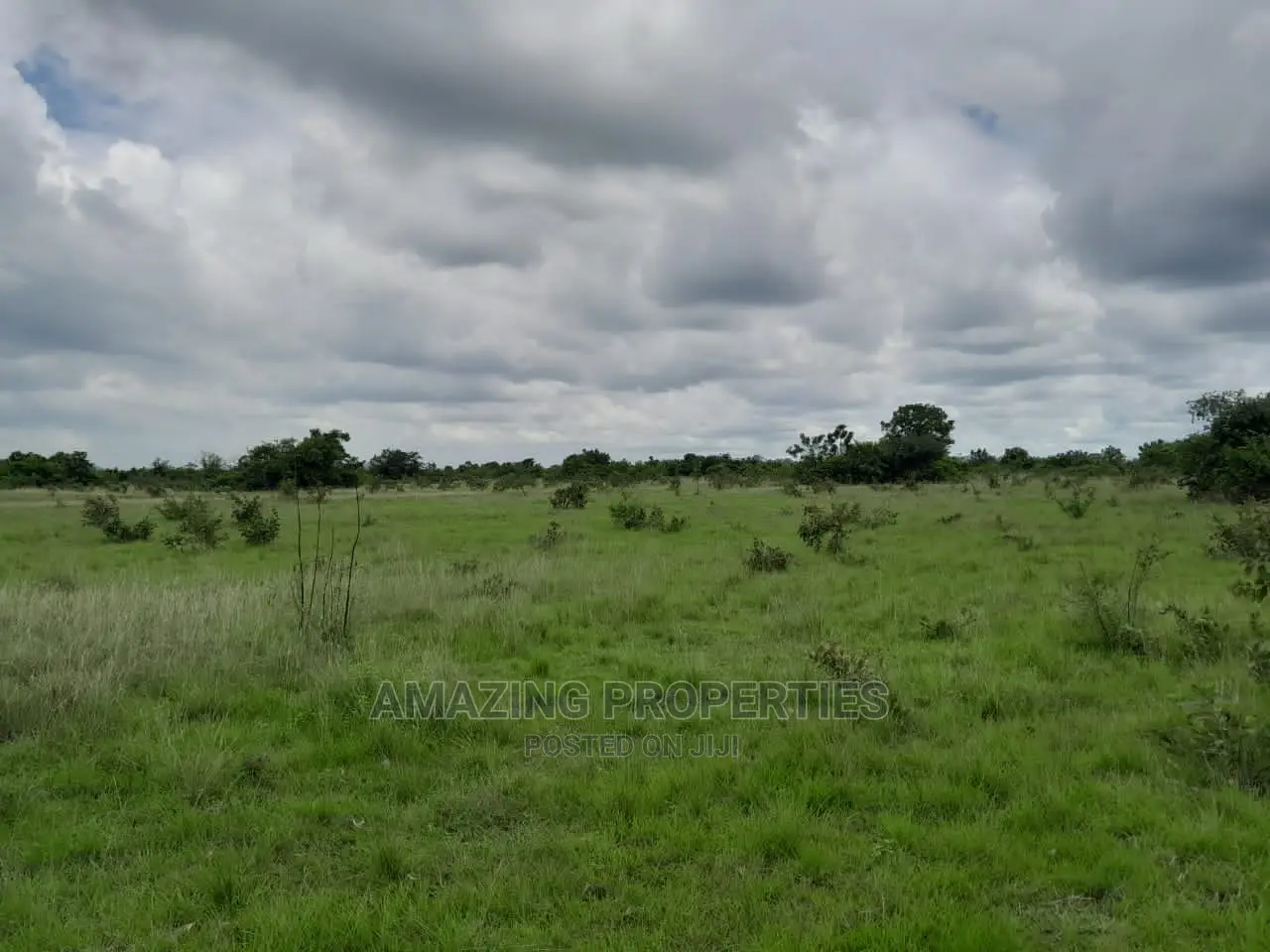 31 Acres of Land for Sale at Ayi Mensah