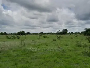 31 Acres of Land for Sale at Ayi Mensah
