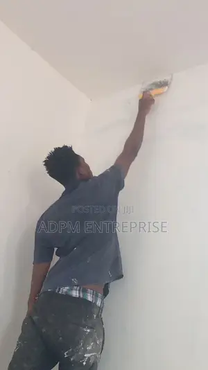 Professional Painter