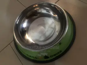 Quality Large Bowls for Dogs and Cat