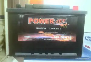 Toyota Rav4 Car Battery