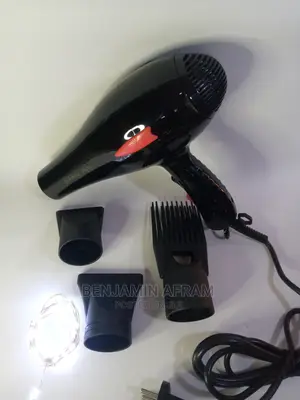 Fankang Professional Hair Dryer