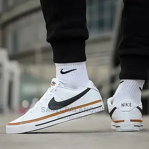Nike Sb Sneaker
