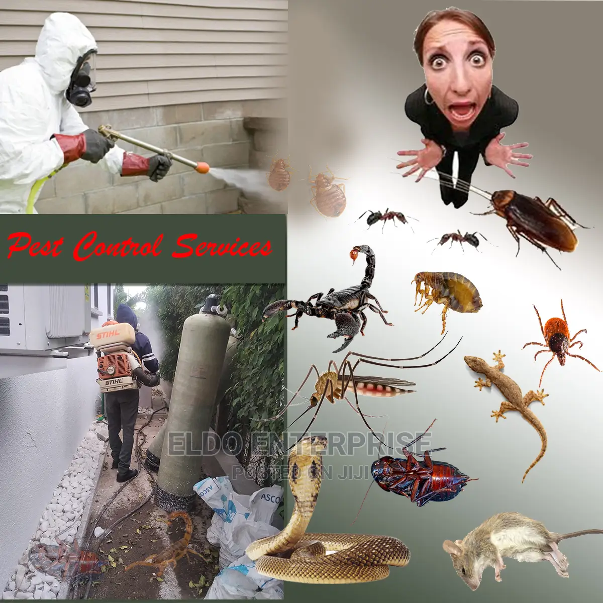 General Pest Control