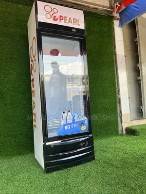 Fros Free Energy Saving Pearl 248 Litres Showcase Fridge