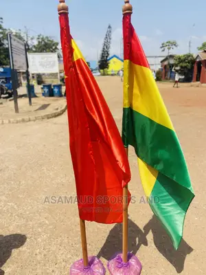 Executive Office Flag With Stand at Cool Price