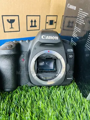 Body Only Camera 5D Mark II Canon