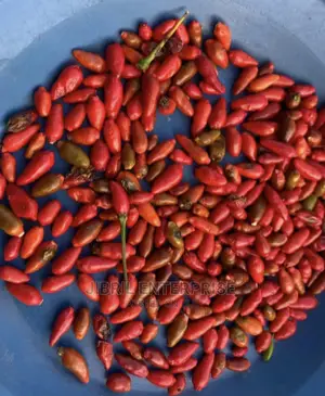 Pea Bird Eye Pepper