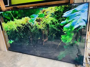 Lg Nanocell 65 Inches Smart