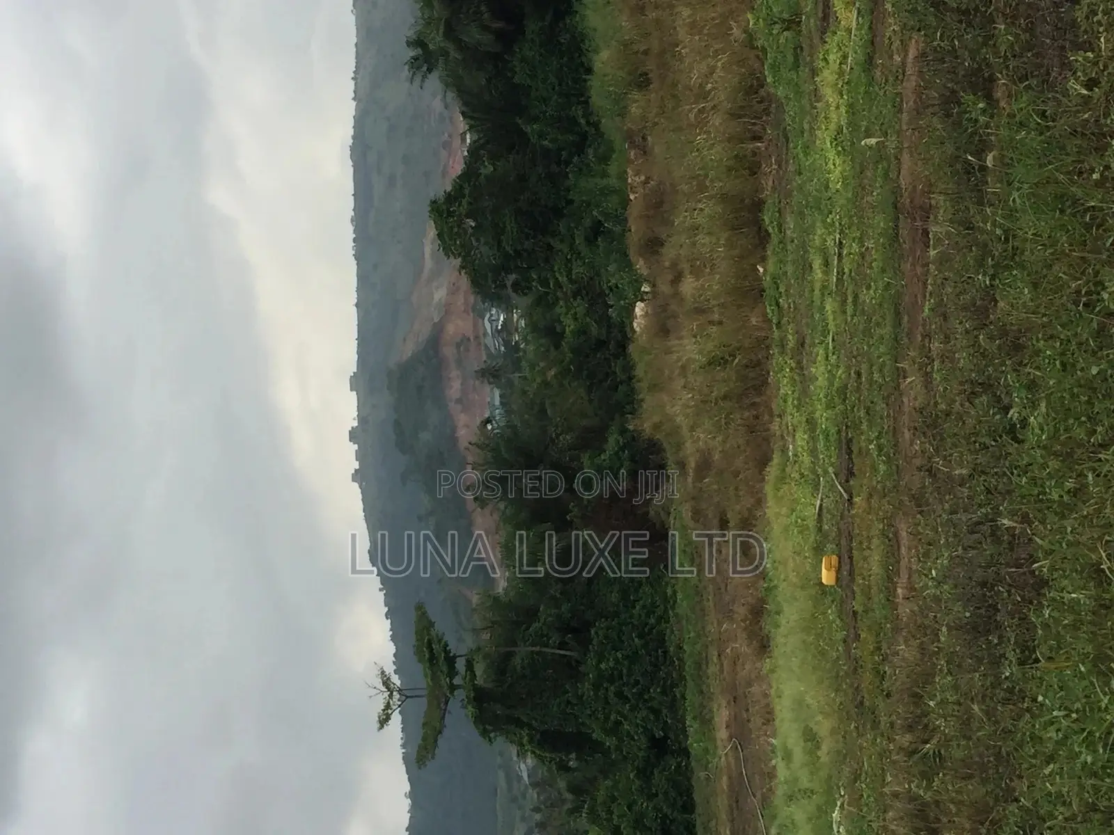 Land Registration and General Survey
