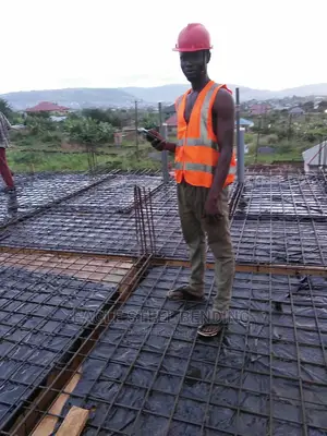 Construction Skilled Trade Cv