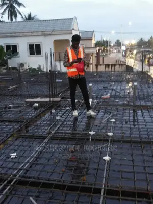 Construction Skilled Trade Cv