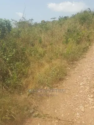 Dodowa Palm Wine Junction