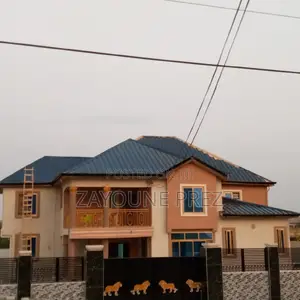 Roof Painting / Spraying