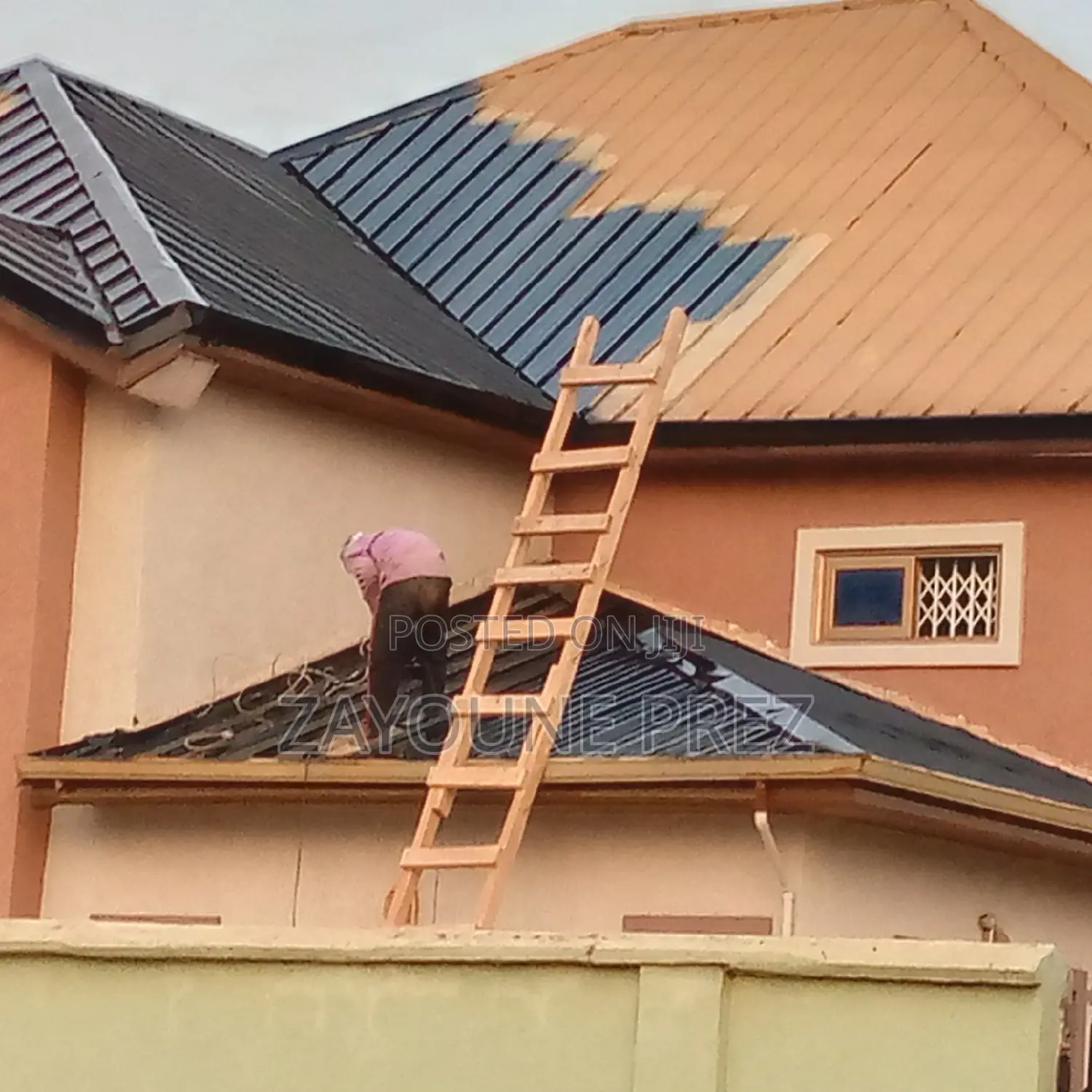 Roof Painting / Spraying
