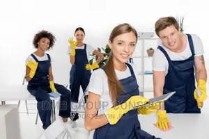 Cleaners 4 Cleaning