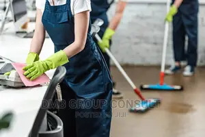 Professional CLEANING