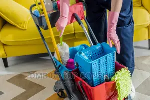 Professional CLEANING