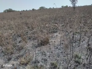 70 by 100 Titled and Genuine Land at Dawhenya